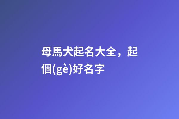 母馬犬起名大全，起個(gè)好名字-第1張-觀點(diǎn)-玄機(jī)派