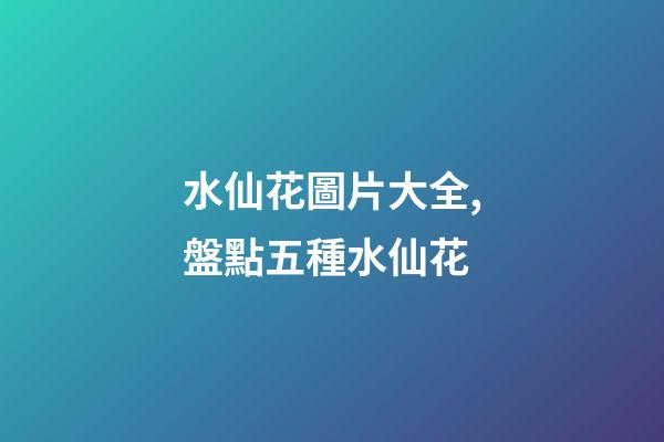 水仙花圖片大全,盤點五種水仙花-第1張-觀點-玄機派