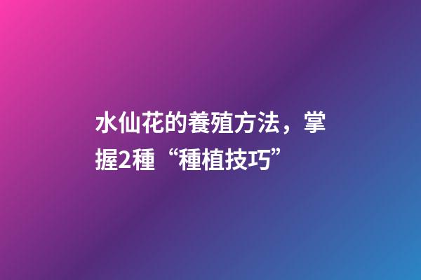 水仙花的養殖方法，掌握2種“種植技巧”-第1張-觀點-玄機派