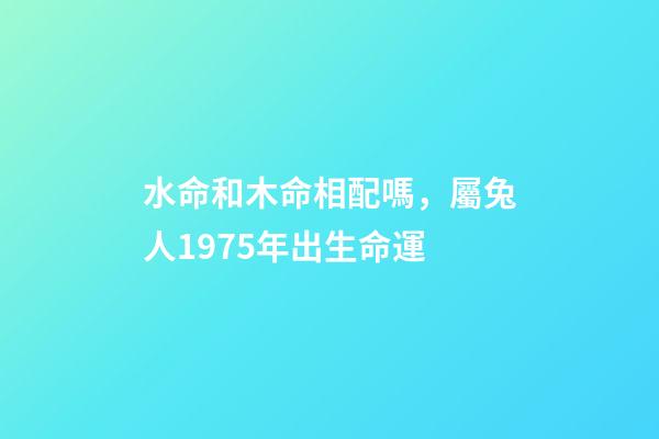 水命和木命相配嗎，屬兔人1975年出生命運-第1張-觀點-玄機派