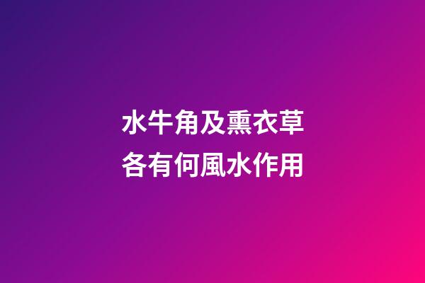 水牛角及熏衣草各有何風水作用?
