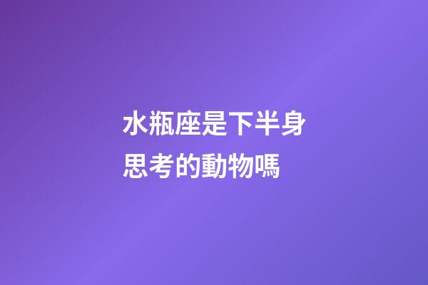 水瓶座是下半身思考的動物嗎-第1張-星座運勢-玄機派