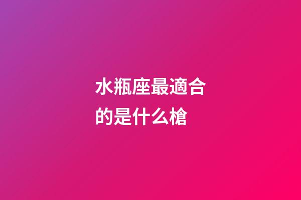 水瓶座最適合的是什么槍-第1張-星座運勢-玄機派