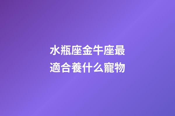 水瓶座金牛座最適合養什么寵物-第1張-星座運勢-玄機派