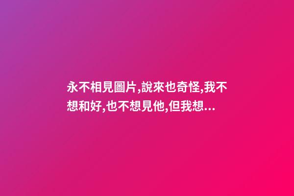 永不相見圖片,說來也奇怪,我不想和好,也不想見他,但我想他!-第1張-觀點-玄機派