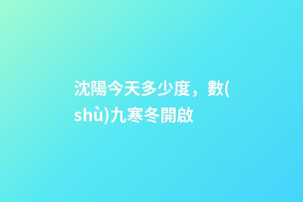 沈陽今天多少度，數(shù)九寒冬開啟-第1張-觀點(diǎn)-玄機(jī)派