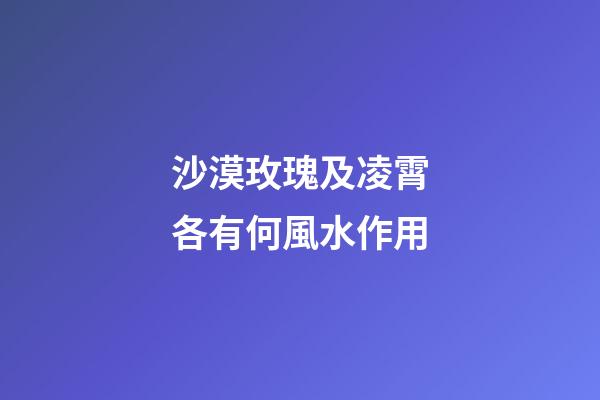 沙漠玫瑰及凌霄各有何風水作用?