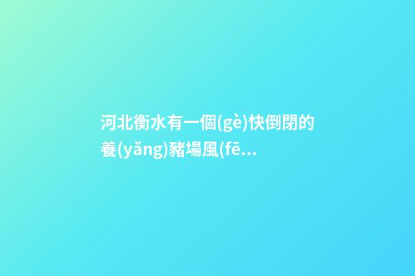河北衡水有一個(gè)快倒閉的養(yǎng)豬場風(fēng)水布局調(diào)整后起死回生的實(shí)例