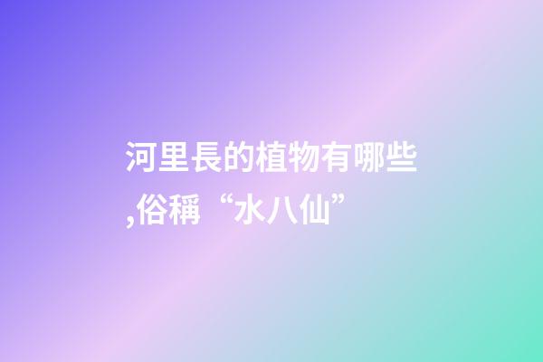 河里長的植物有哪些,俗稱“水八仙”-第1張-觀點-玄機派