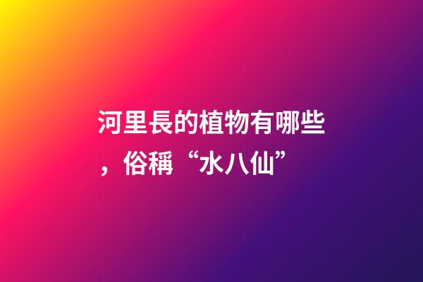 河里長的植物有哪些，俗稱“水八仙”