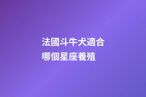 法國斗牛犬適合哪個星座養殖-第1張-星座運勢-玄機派