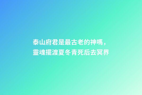 泰山府君是最古老的神嗎，靈魂擺渡夏冬青死后去冥界-第1張-觀點-玄機派