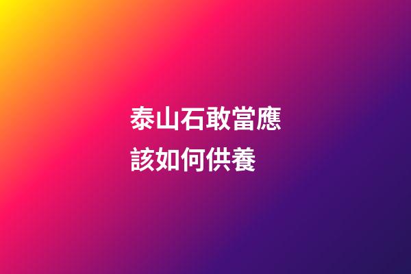 泰山石敢當應該如何供養?