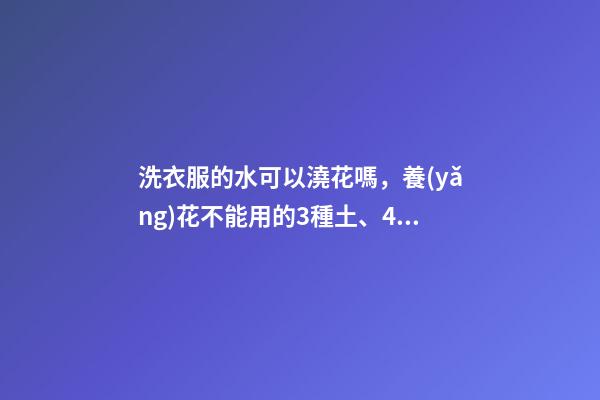 洗衣服的水可以澆花嗎，養(yǎng)花不能用的3種土、4種水-第1張-觀點(diǎn)-玄機(jī)派