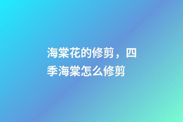 海棠花的修剪，四季海棠怎么修剪-第1張-觀點-玄機派