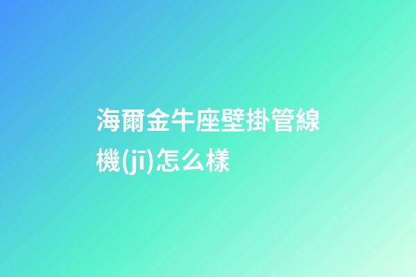 海爾金牛座壁掛管線機(jī)怎么樣