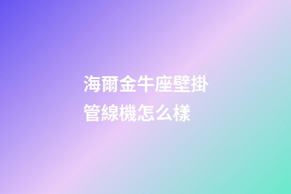 海爾金牛座壁掛管線機怎么樣
