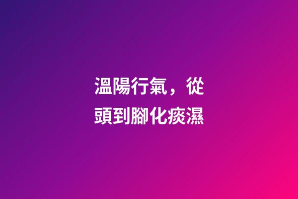 溫陽行氣，從頭到腳化痰濕-第1張-觀點-玄機派