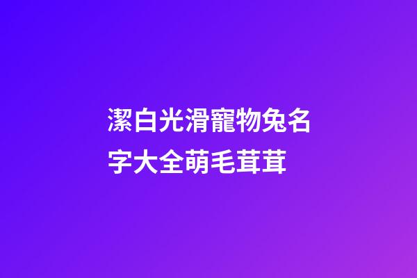 潔白光滑寵物兔名字大全萌毛茸茸