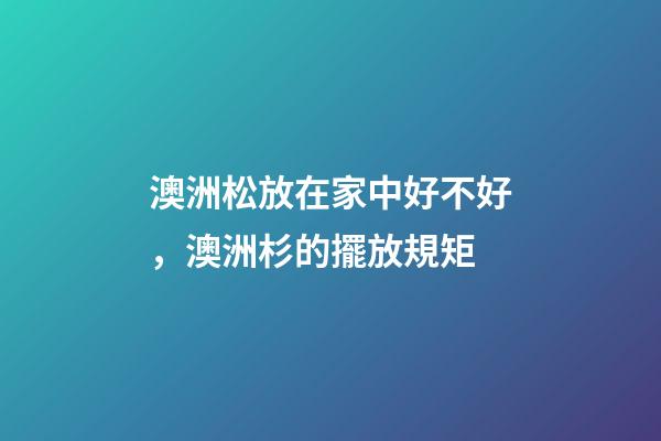 澳洲松放在家中好不好，澳洲杉的擺放規矩