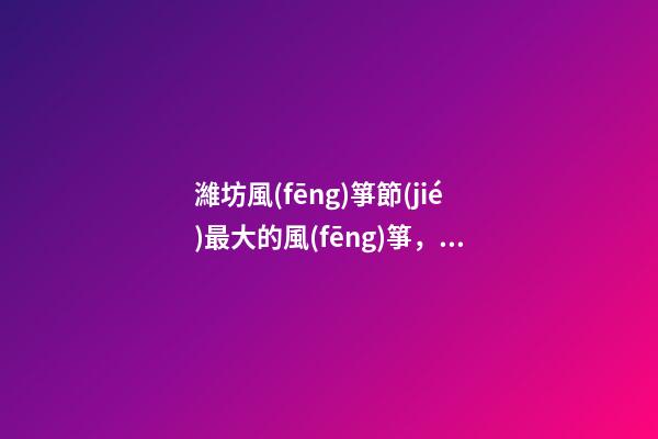 濰坊風(fēng)箏節(jié)最大的風(fēng)箏，風(fēng)箏界的天花板!來濰坊體驗(yàn)什么是真正的放風(fēng)箏-第1張-觀點(diǎn)-玄機(jī)派