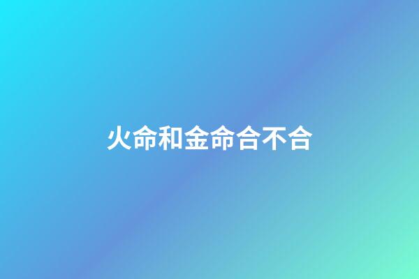 火命和金命合不合