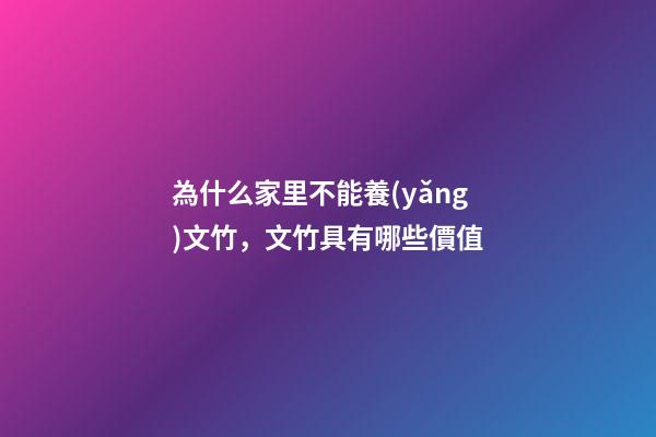 為什么家里不能養(yǎng)文竹，文竹具有哪些價值