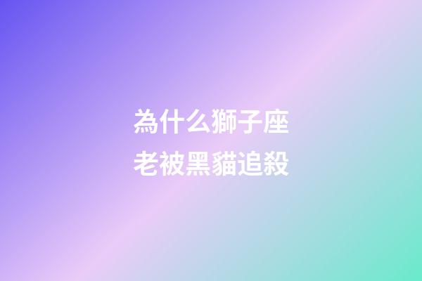 為什么獅子座老被黑貓追殺-第1張-星座運勢-玄機派