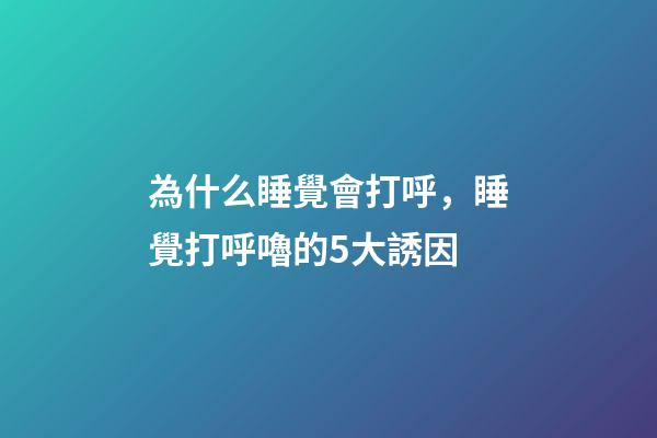 為什么睡覺會打呼，睡覺打呼嚕的5大誘因-第1張-觀點-玄機派