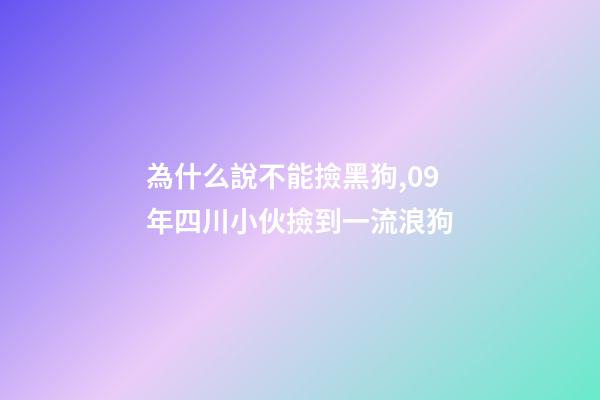為什么說不能撿黑狗,09年四川小伙撿到一流浪狗-第1張-觀點-玄機派