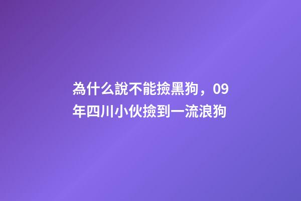 為什么說不能撿黑狗，09年四川小伙撿到一流浪狗-第1張-觀點-玄機派