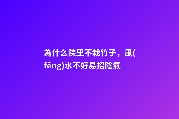 為什么院里不栽竹子，風(fēng)水不好易招陰氣