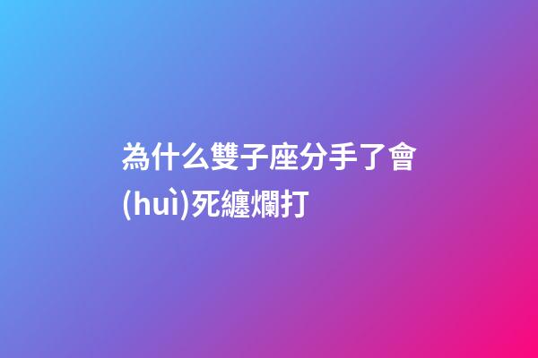 為什么雙子座分手了會(huì)死纏爛打-第1張-星座運(yùn)勢(shì)-玄機(jī)派