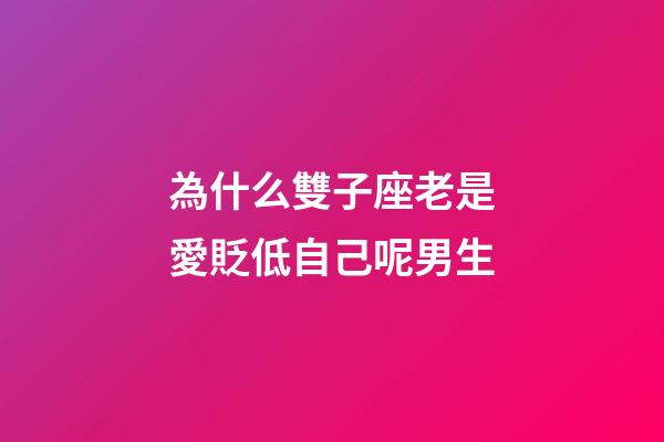 為什么雙子座老是愛貶低自己呢男生-第1張-星座運勢-玄機派