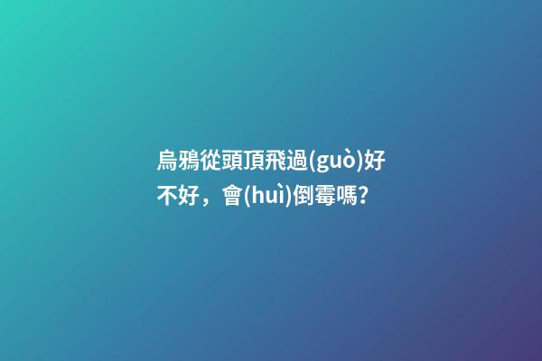 烏鴉從頭頂飛過(guò)好不好，會(huì)倒霉嗎？