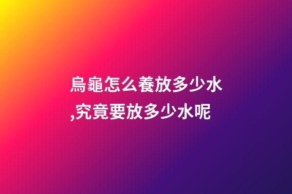 烏龜怎么養放多少水,究竟要放多少水呢-第1張-觀點-玄機派