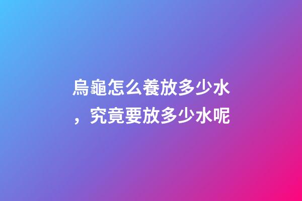 烏龜怎么養放多少水，究竟要放多少水呢-第1張-觀點-玄機派