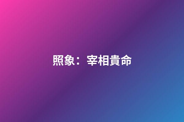 照象：宰相貴命