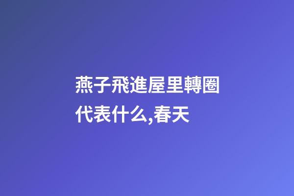 燕子飛進屋里轉圈代表什么,春天-第1張-觀點-玄機派