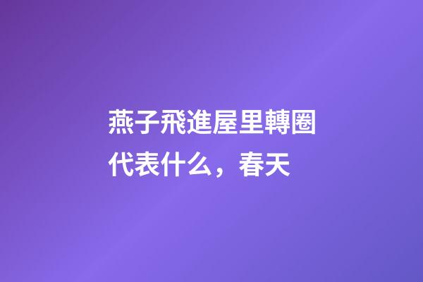 燕子飛進屋里轉圈代表什么，春天-第1張-觀點-玄機派