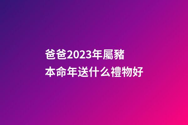 爸爸2023年屬豬本命年送什么禮物好