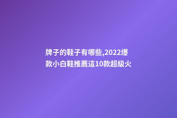 牌子的鞋子有哪些,2022爆款小白鞋推薦這10款超級火-第1張-觀點-玄機派