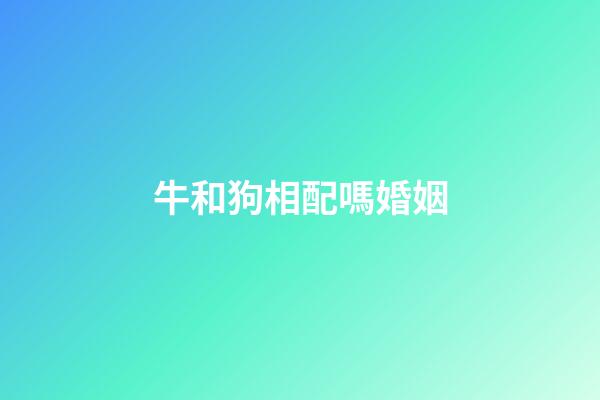 牛和狗相配嗎婚姻（女狗男牛屬相婚配好嗎）-第1張-星座運(yùn)勢-玄機(jī)派