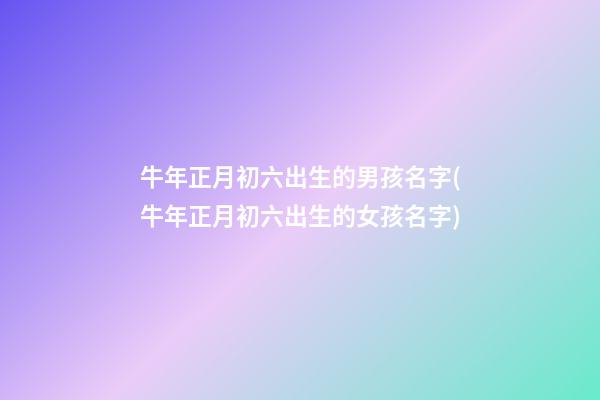 牛年正月初六出生的男孩名字(牛年正月初六出生的女孩名字)