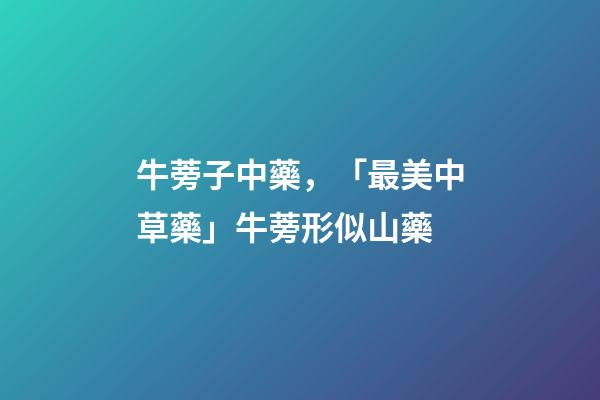 牛蒡子中藥，「最美中草藥」牛蒡形似山藥-第1張-觀點-玄機派