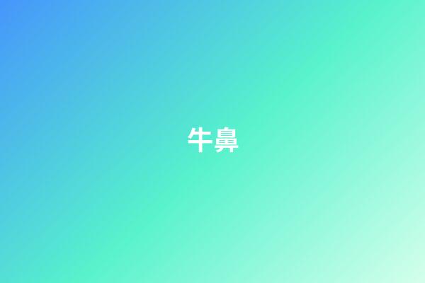 牛鼻