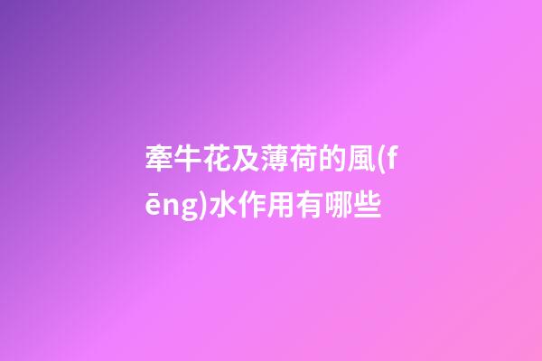 牽牛花及薄荷的風(fēng)水作用有哪些?