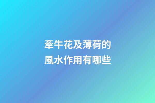 牽牛花及薄荷的風水作用有哪些?