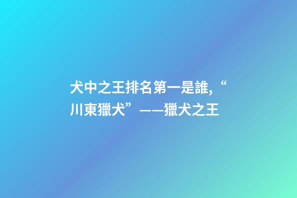 犬中之王排名第一是誰,“川東獵犬”——獵犬之王-第1張-觀點-玄機派