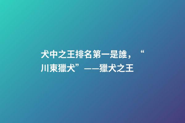 犬中之王排名第一是誰，“川東獵犬”——獵犬之王-第1張-觀點-玄機派